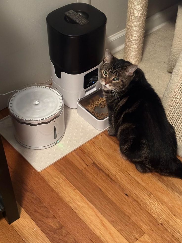 Smart food dispenser