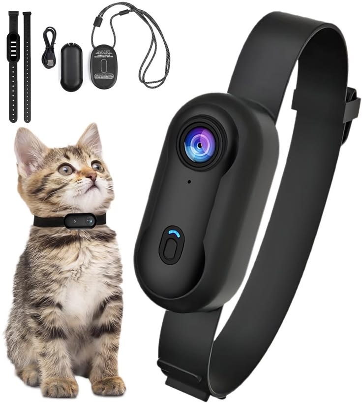 Pet collar camera