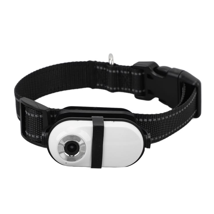 Pet collar camera