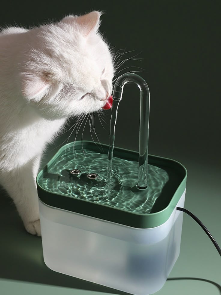 Water fountains