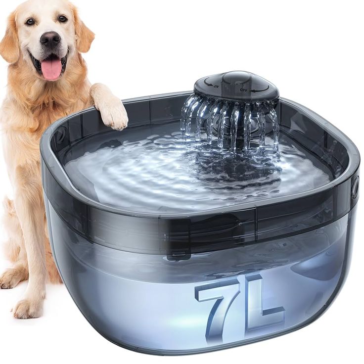Water fountains