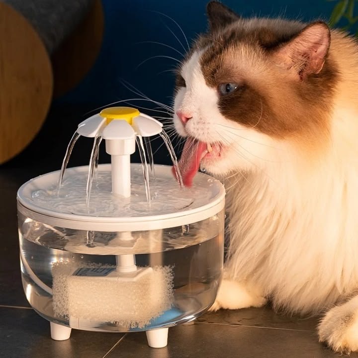 Water fountains