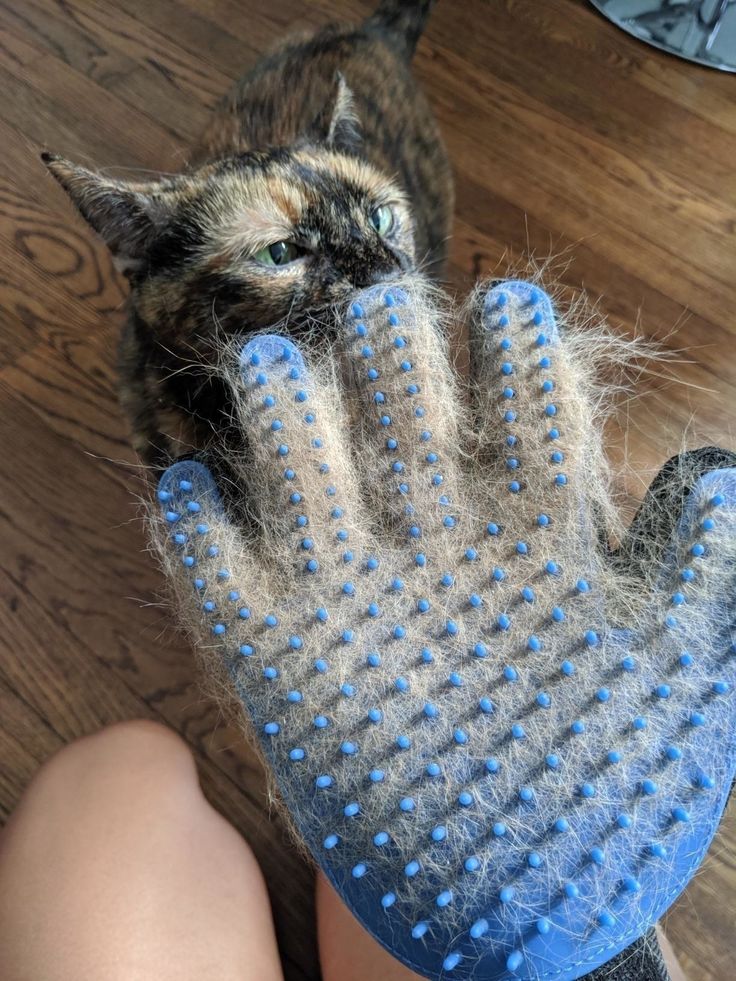 Deshedding gloves